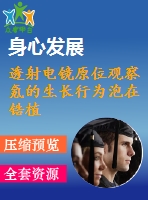 透射電鏡原位觀察氪的生長行為泡在鋯植入后退火過程中合金