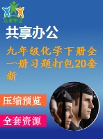 九年級(jí)化學(xué)下冊(cè)全一冊(cè)習(xí)題打包20套新版北京課改版